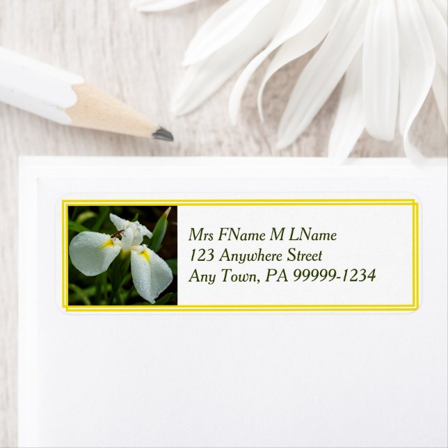 White Iris Label Return Address Label (Insitu)