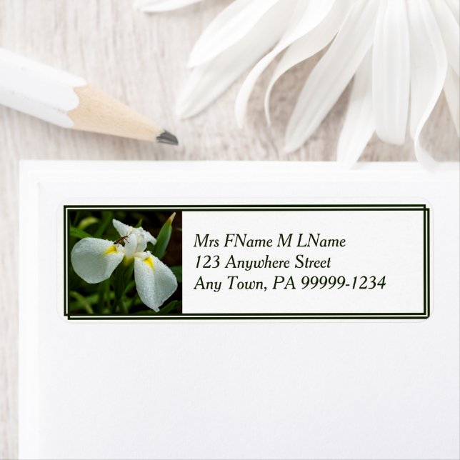 White Iris Label Return Address Label (Insitu)