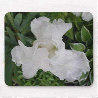 White Iris Mouse Pad