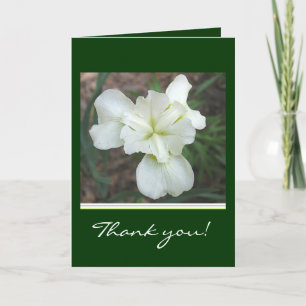 White Iris Thank you card
