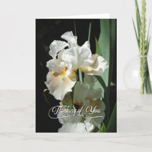 White Iris Thinking of You Blank Card