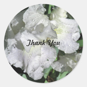 White Iris with Raindrops Thank You sticker