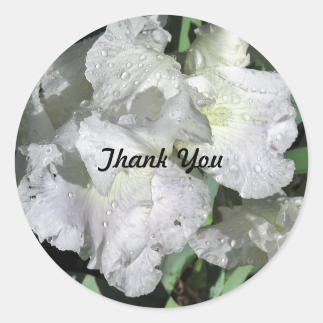 White Iris with Raindrops Thank You sticker (Front)