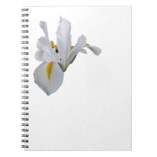 White Iris with Yellow Centre Notebook