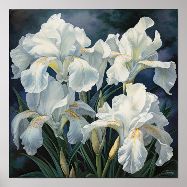 White Irises Flower Art Print Poster (Front)