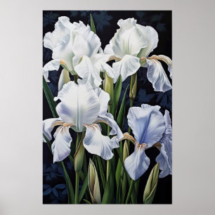 White Irises Flower Art Print Poster