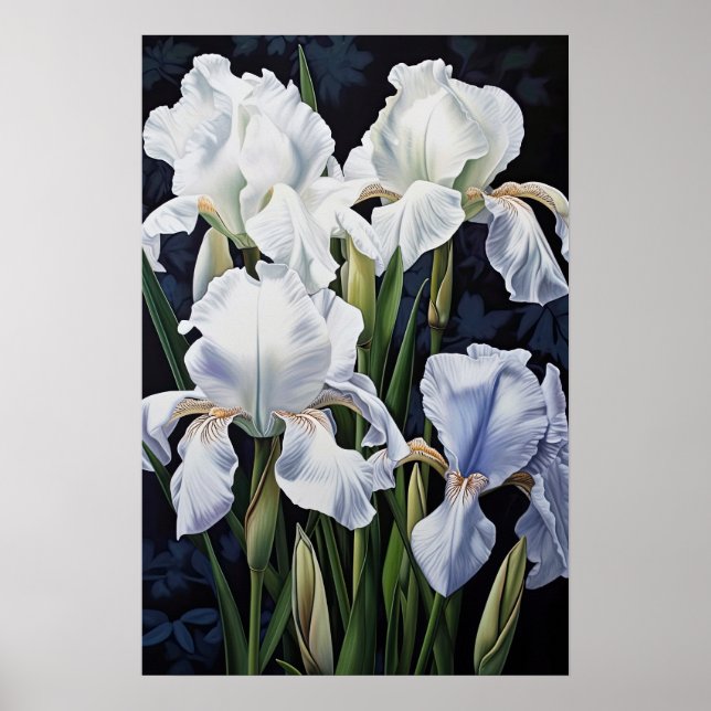White Irises Flower Art Print Poster (Front)