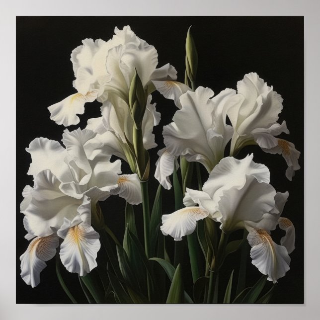 White Irises Flower Art Print Poster (Front)