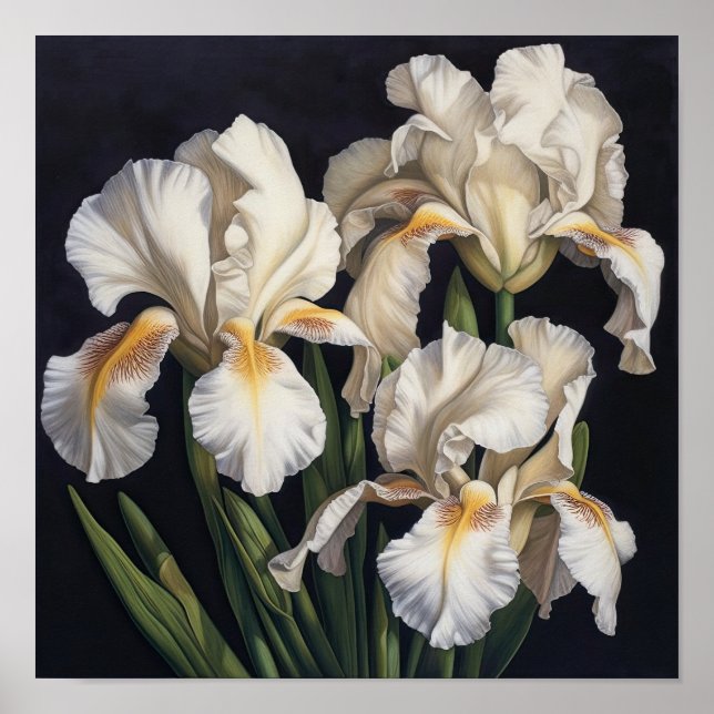 White Irises Flower Art Print Poster (Front)