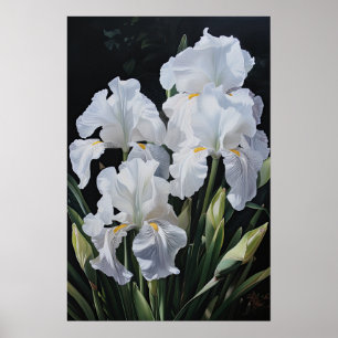 White Irises Flower Art Print Poster