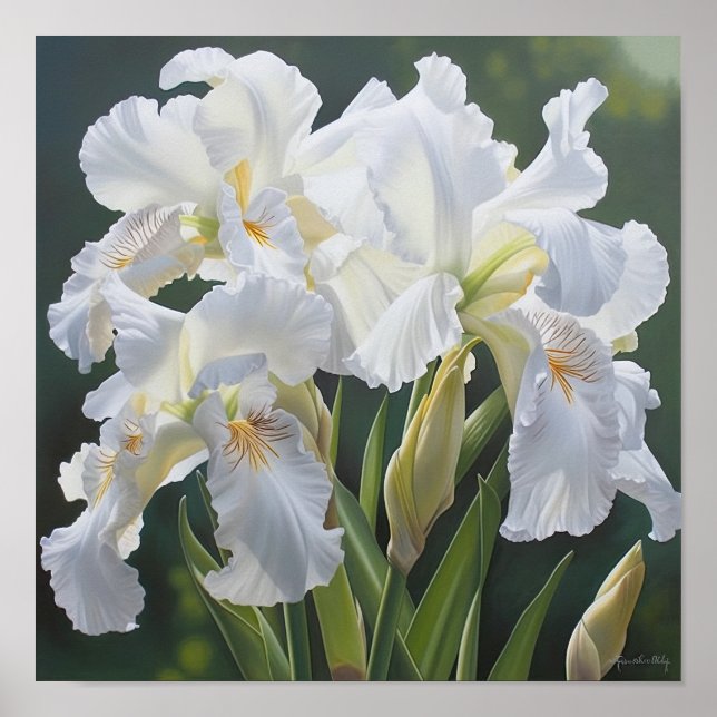 White Irises Flower Art Print Poster (Front)