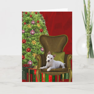 White Jack Russell Christmas Holiday Card
