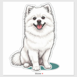 White Japanese Spitz