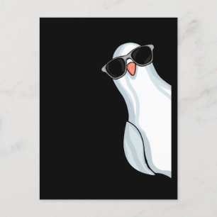 White King Pigeon Fencing Men Pigeon Racing Pigeon Postcard