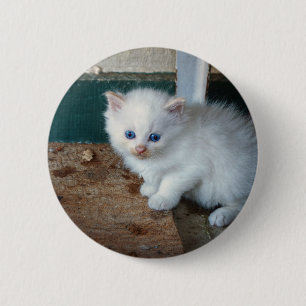 White Kitten 6 Cm Round Badge