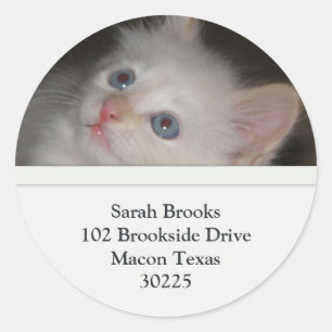 White Kitten Address Labels
