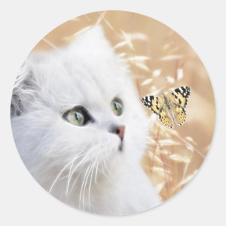 White kitten and butterfly classic round sticker