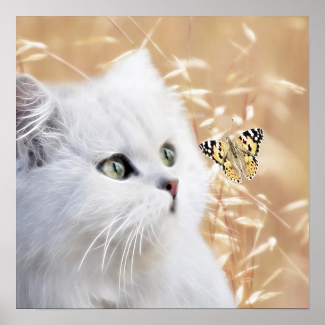 White kitten and butterfly poster (Front)