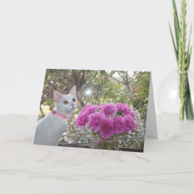 White Kitten and Pink Carnations Card (Front)