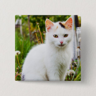 White Kitten Button