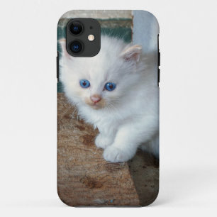 White Kitten iPhone 11 Case