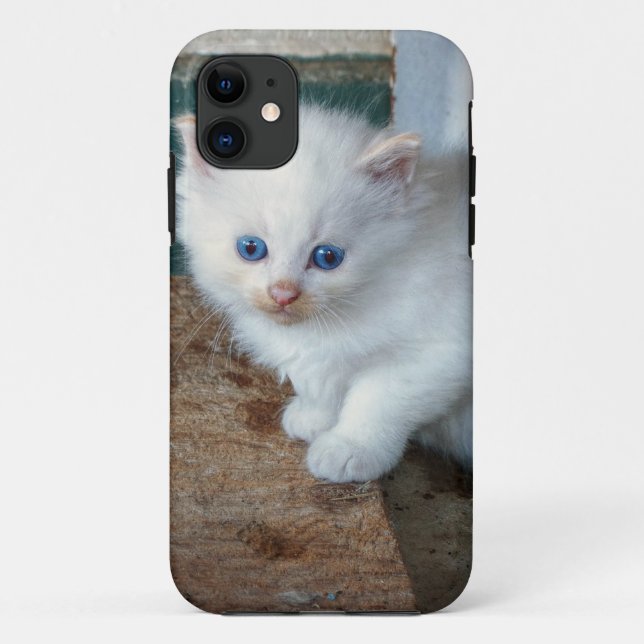 White Kitten Case-Mate iPhone Case (Back)