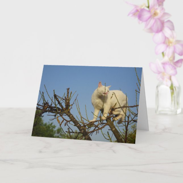 White Kitten Climbing Almond Tree Card (Orchid)