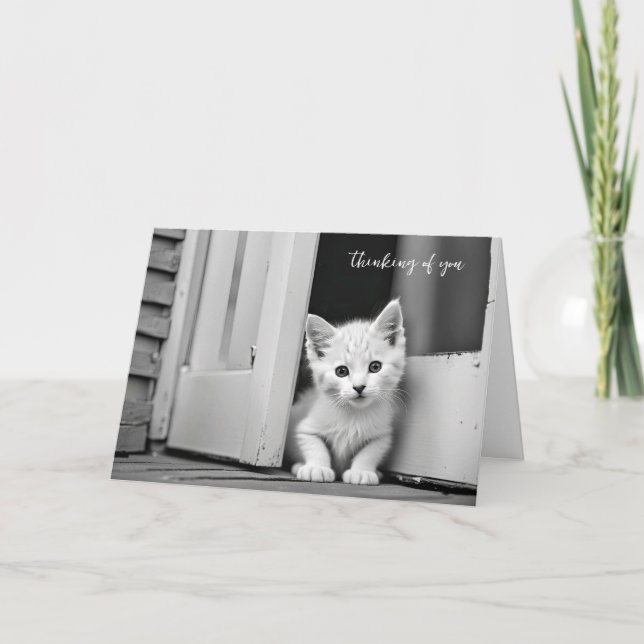 White Kitten In Doorway Thinking Of You Card (Front)