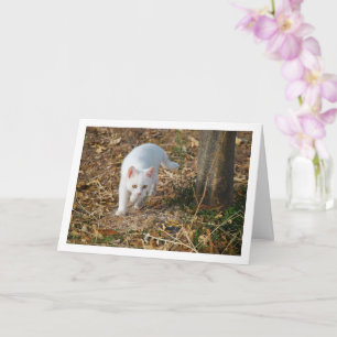 White Kitten in Forest Portrait Card