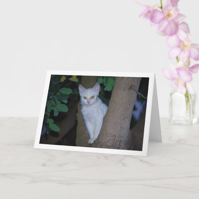 White Kitten in Tree Portrait Card (Orchid)