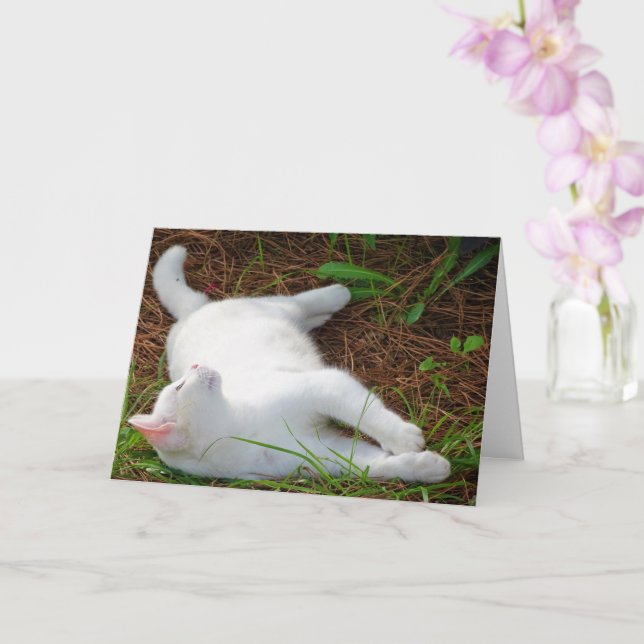 White Kitten on Pine Needles Card (Orchid)