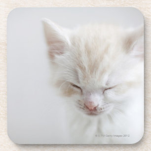 White Kitten Sleeping Coaster