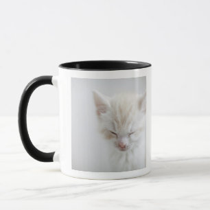 White Kitten Sleeping Mug