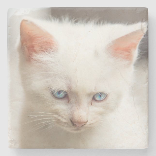 White Kitten Stone Coaster (Front)