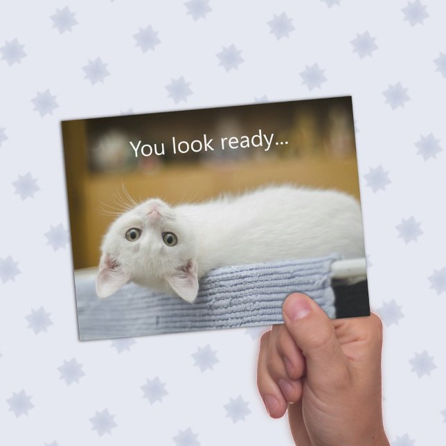 White Kitten Welcome Back to School Message Cards (Creator Uploaded)