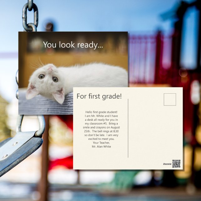 White Kitten Welcome Back to School Postcards (Creator Uploaded)