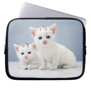 White Kittens Laptop Sleeve