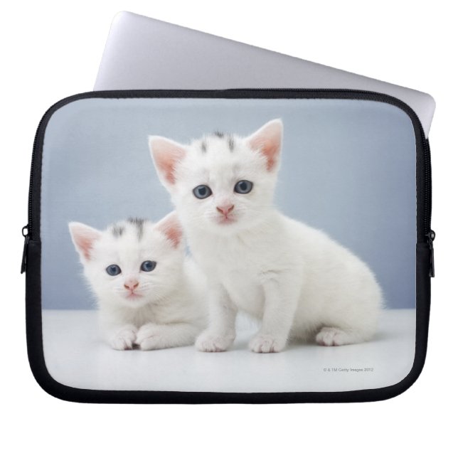 White Kittens Laptop Sleeve (Front)
