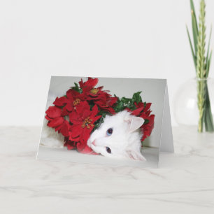 White kitty Christmas Holiday Card