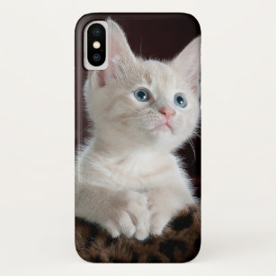 White Kitty Kitten Cat iPhone Case