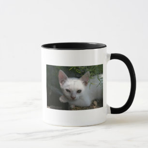 White kitty mug