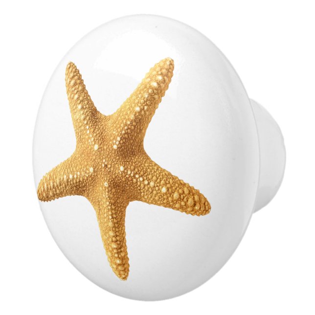 White Knob with Centred Starfish (Right)