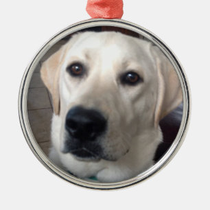 White Lab Metal Ornament