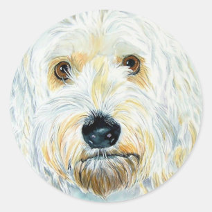 White Labradoodle Maggie Stickers