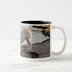 White Labrador near a lake Two-Tone Coffee Mug