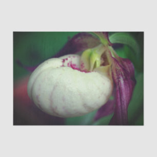 White Lady Slipper Orchid Flower Decoupage Tissue Paper