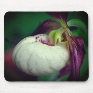 White Lady Slipper Orchid Flower  Mouse Pad