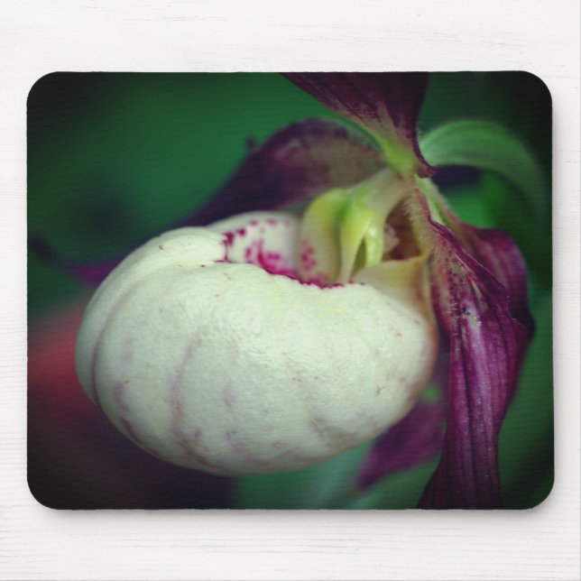 White Lady Slipper Orchid Flower  Mouse Pad (Front)