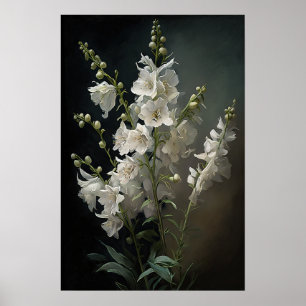 White Larkspur Flower Art Print Poster