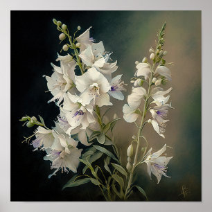 White Larkspur Flower Art Print Poster